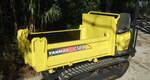 Yanmar C 12 R